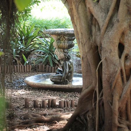 Mount Azimbo Lodge Louis Trichardt Zewnętrze zdjęcie