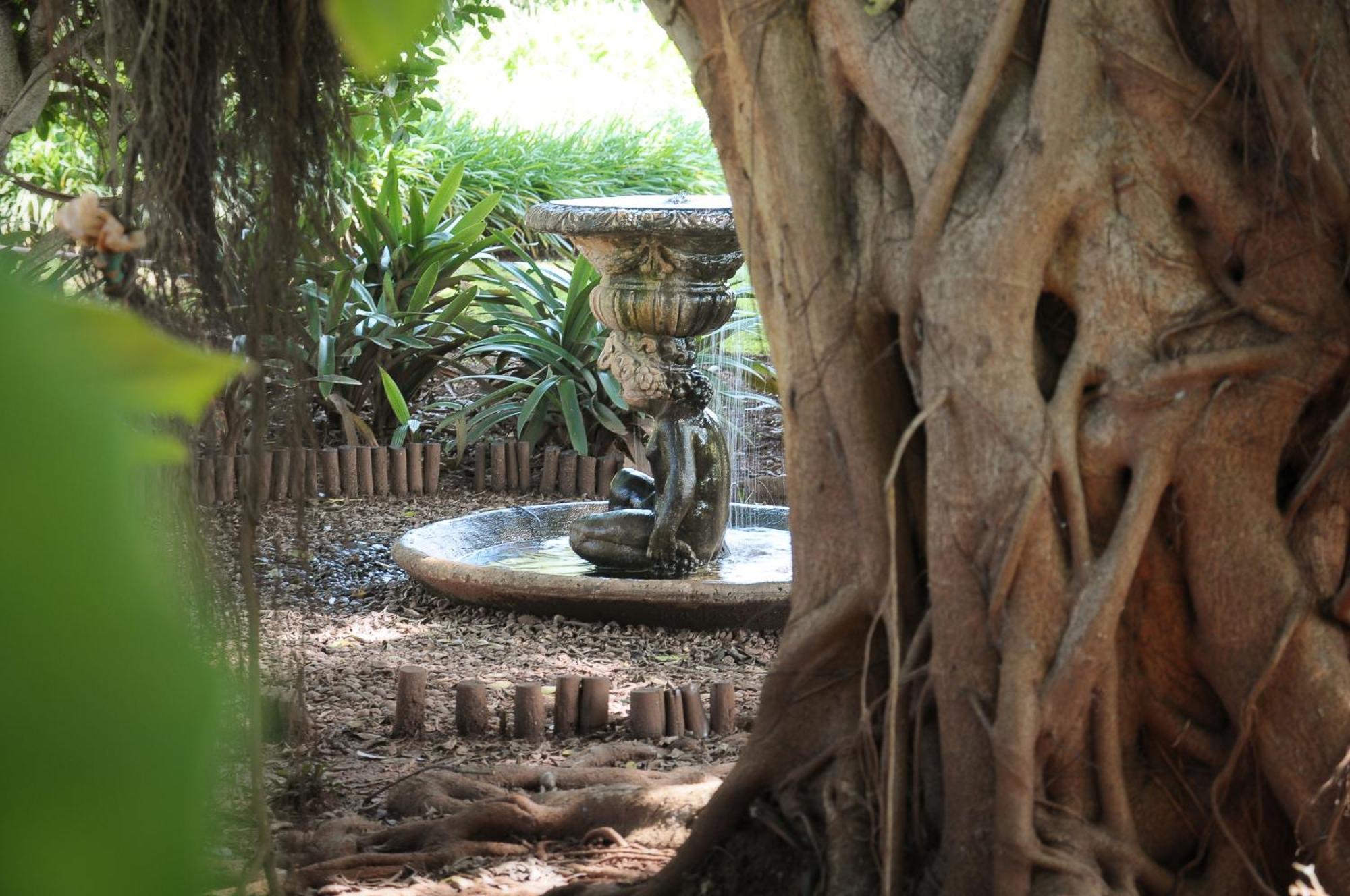 Mount Azimbo Lodge Louis Trichardt Zewnętrze zdjęcie