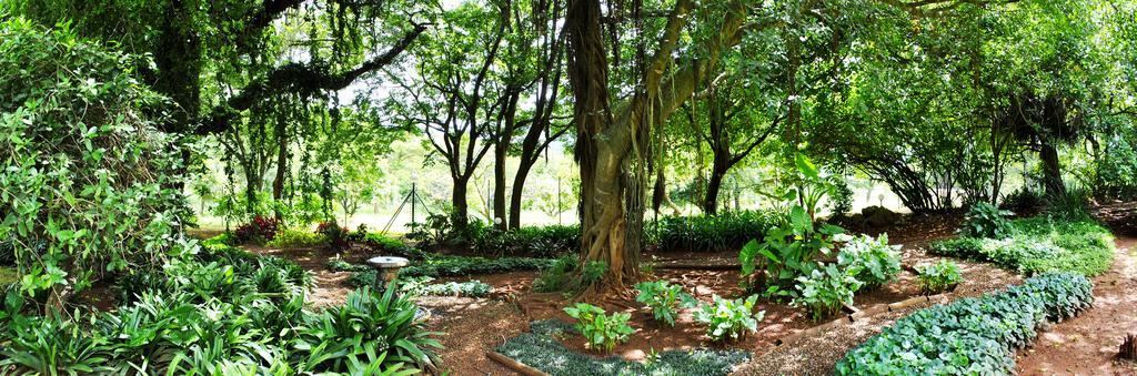 Mount Azimbo Lodge Louis Trichardt Zewnętrze zdjęcie